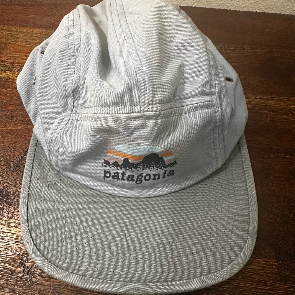 Patagonia Light Gray and‎ Multicolor Mountain panel Logo Cap